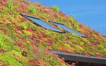 Swathwick living roof systems